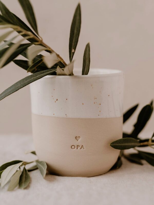 Mok 'opa'